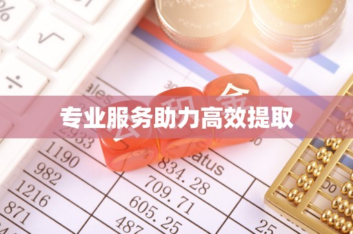 嵊泗专业服务助力高效提取